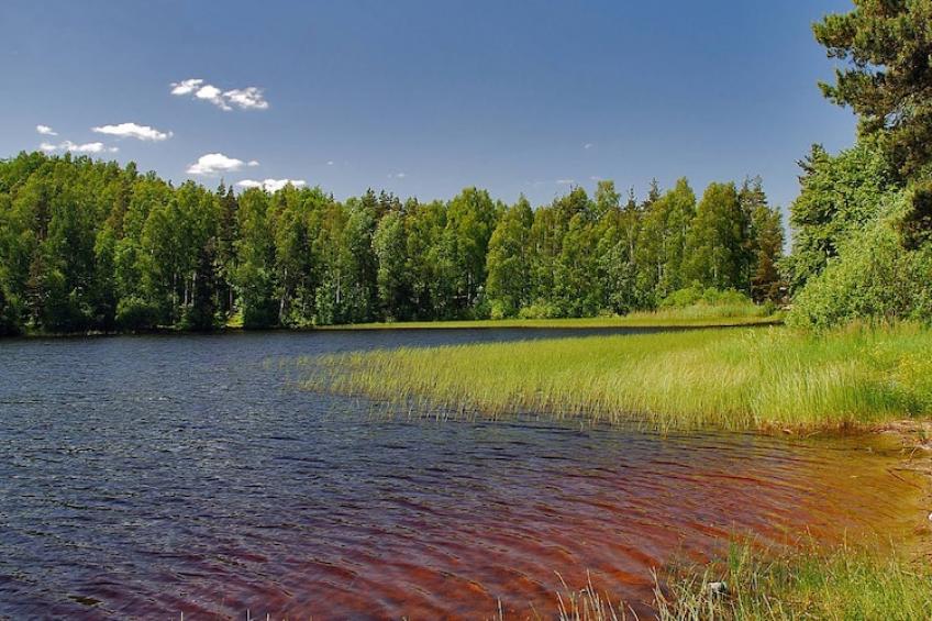 maison de vacances, Czestkowo - foto 33