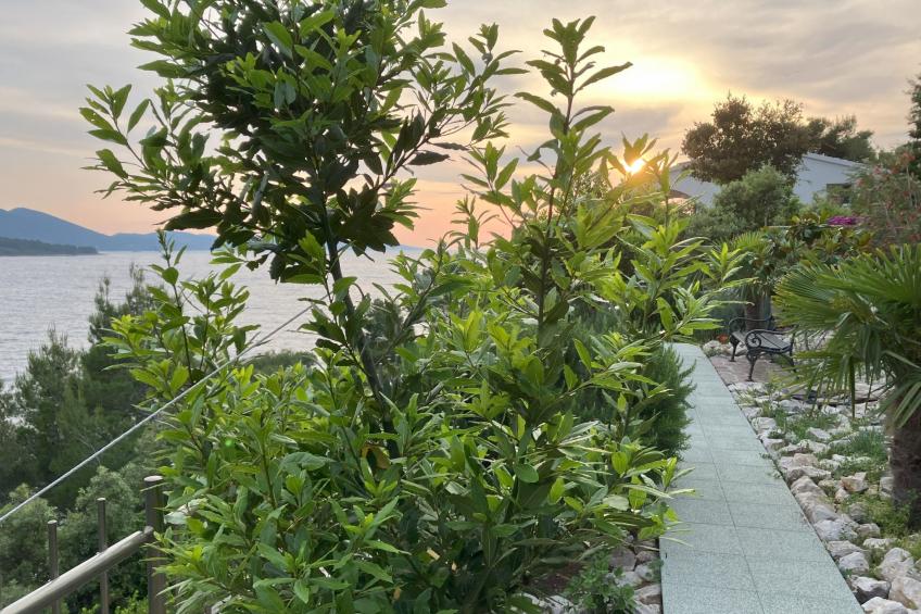 Luxuriöse Villa Hera,  Korcula,  am Strand - foto 38