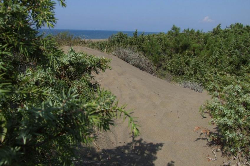 'Gardenia Eiche - foto 26