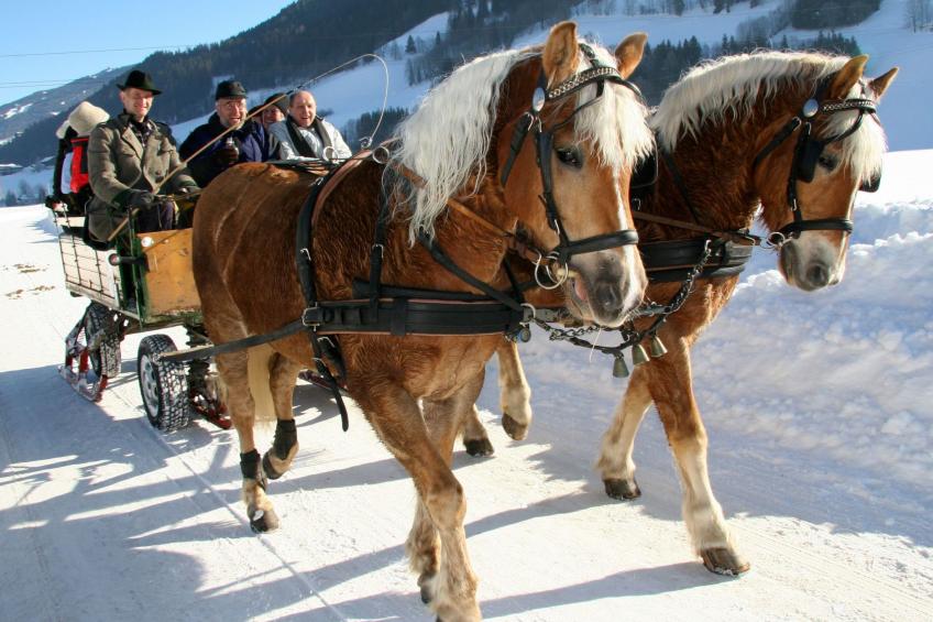 in Pruggern mit Terrasse und Garten - foto 12