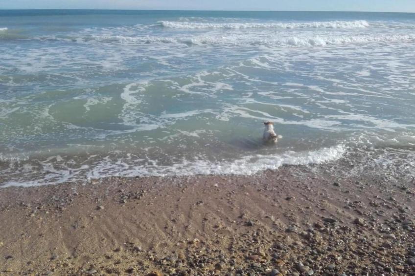 Apartamentos Tamarindos Peñiscola SUPERIOR A - foto 26