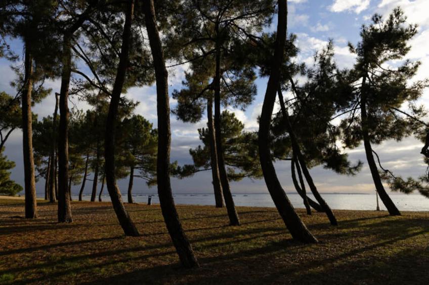 Maison à Lanton - foto 21