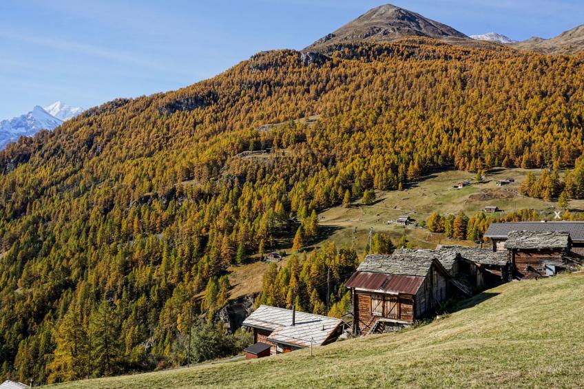 Chalet 1679 - foto 4