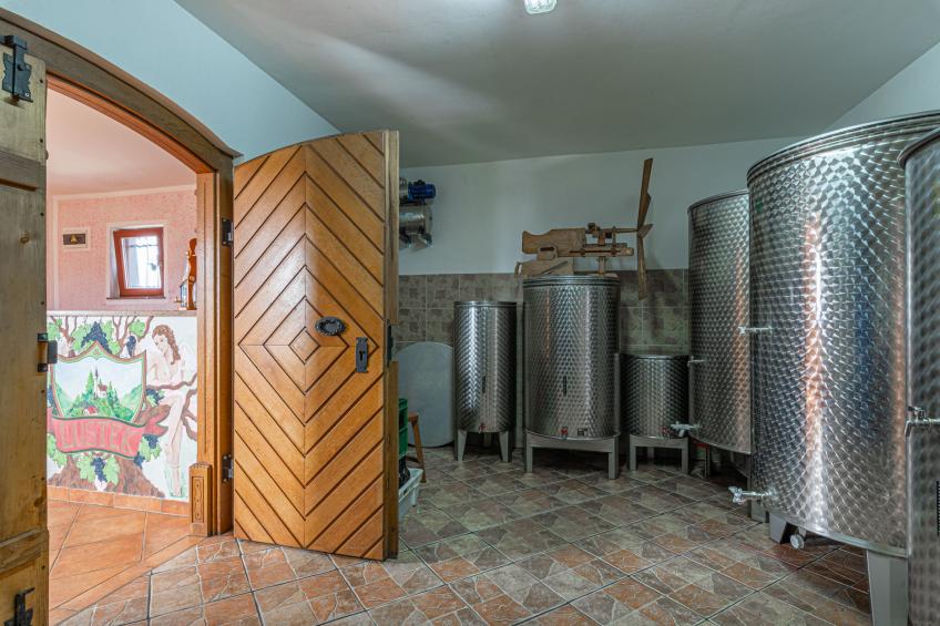 Vineyard Cottage Luštek - foto 13