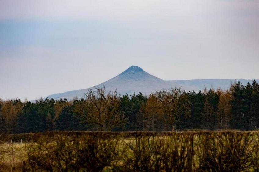 Ingleby Manor - Courtyard Cottage - foto 25