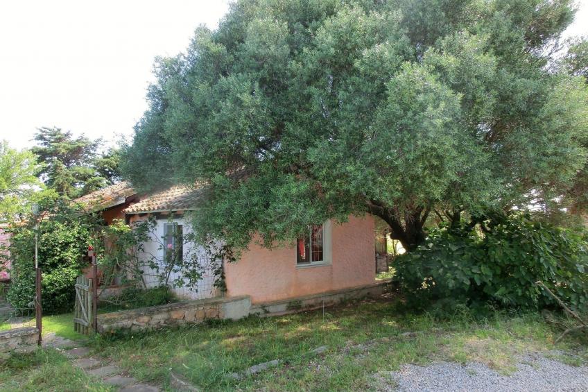 Anwesen "Oase der Ruhe in der Natur" mit Terrasse - foto 2