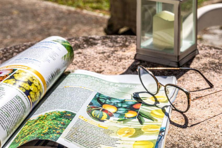 La Pineta Holiday Homes - foto 8