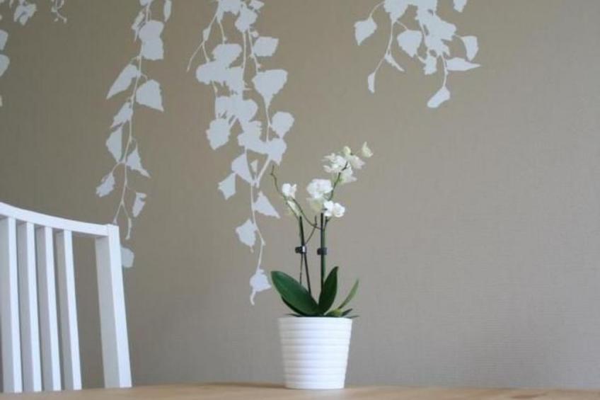 Småland ausserhalb Älmhult - foto 6