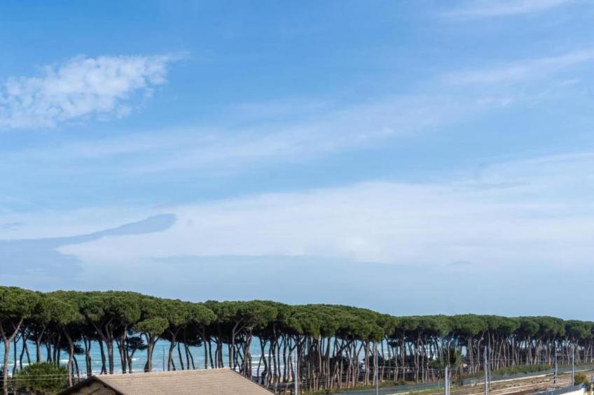 MAISON PISCINE AU CALME A PINET - foto 38