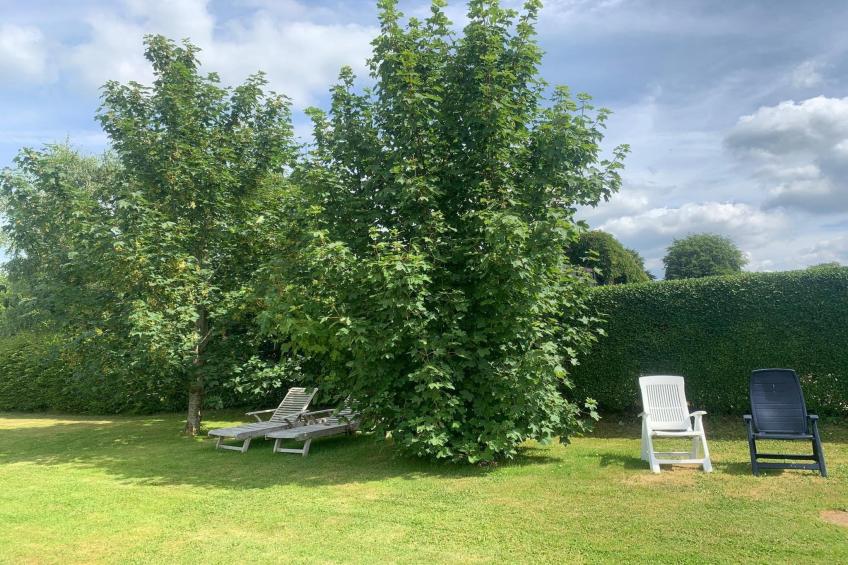 Haus Hunnenberg 2 - foto 25