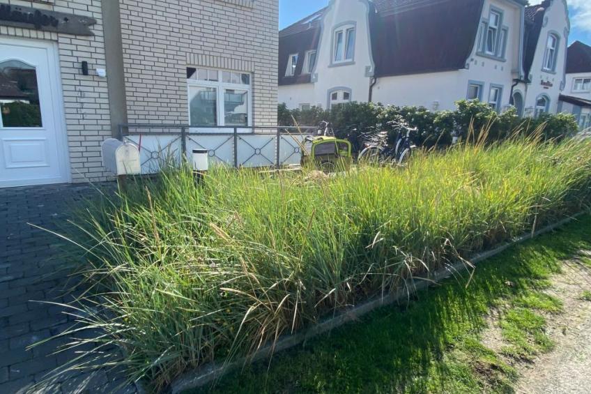 Wohnung in Wenningstedt-Braderup (Sylt) - foto 5