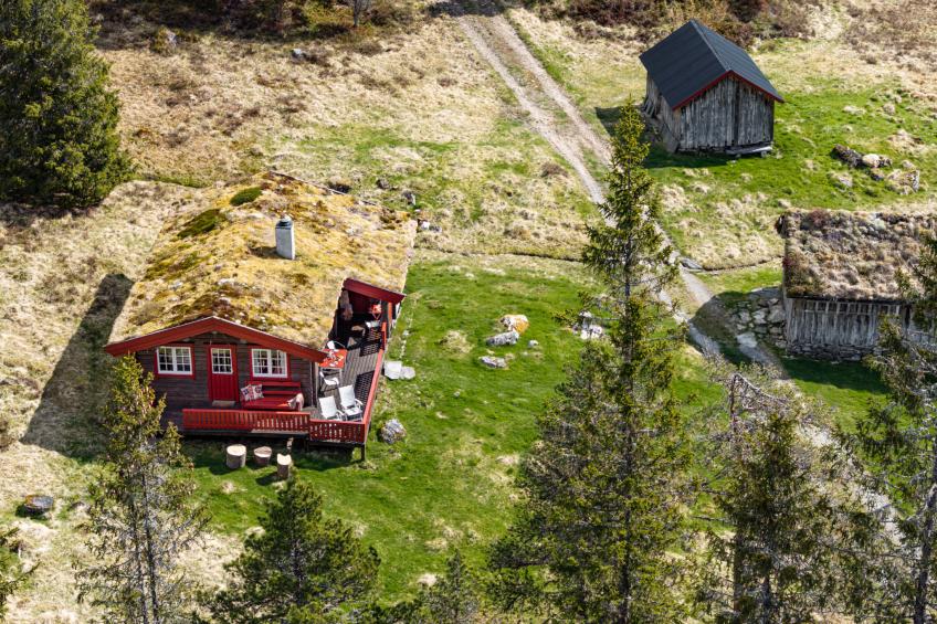 Fjellbris (FJS106) - foto 27