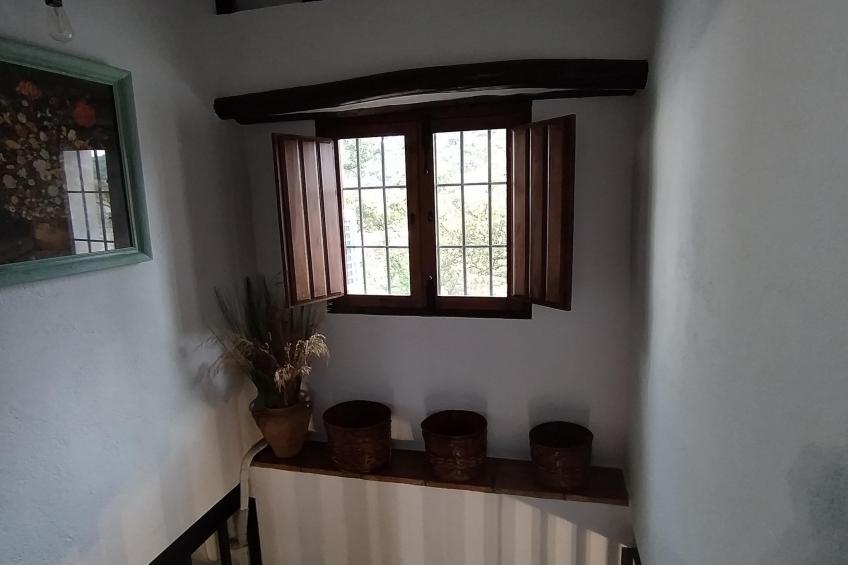El Molino - foto 59