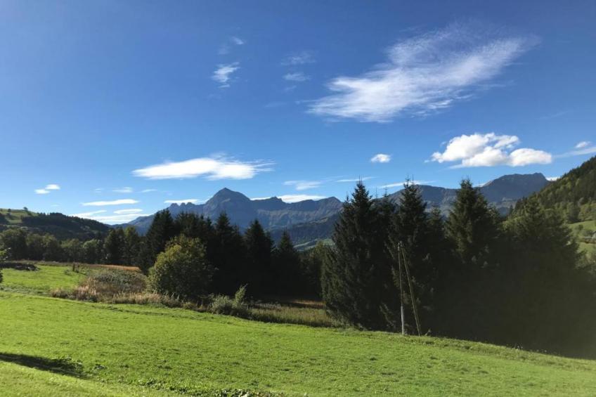 Résidence Les Belles Roches - foto 37