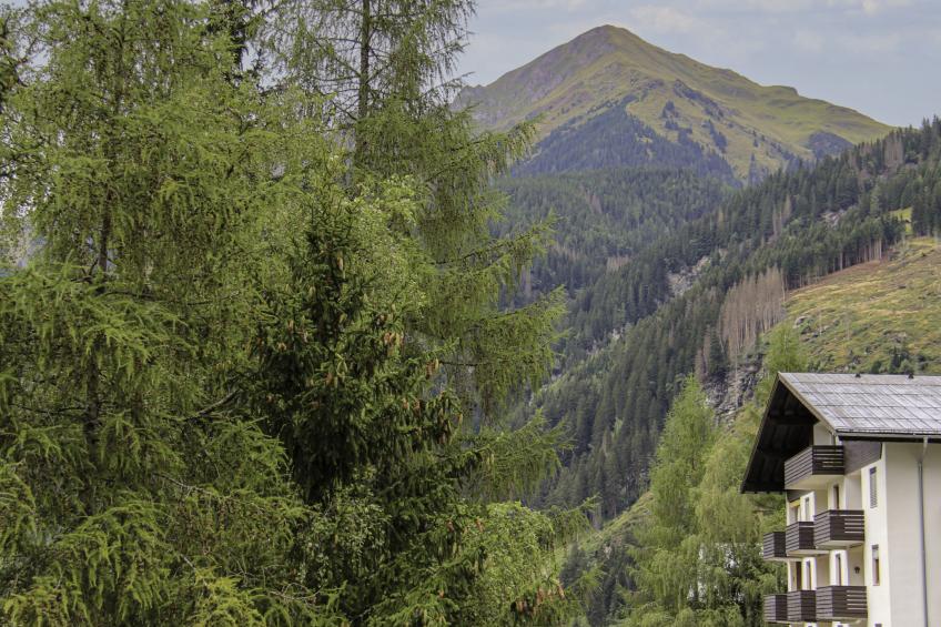 Tauern Horst - foto 23