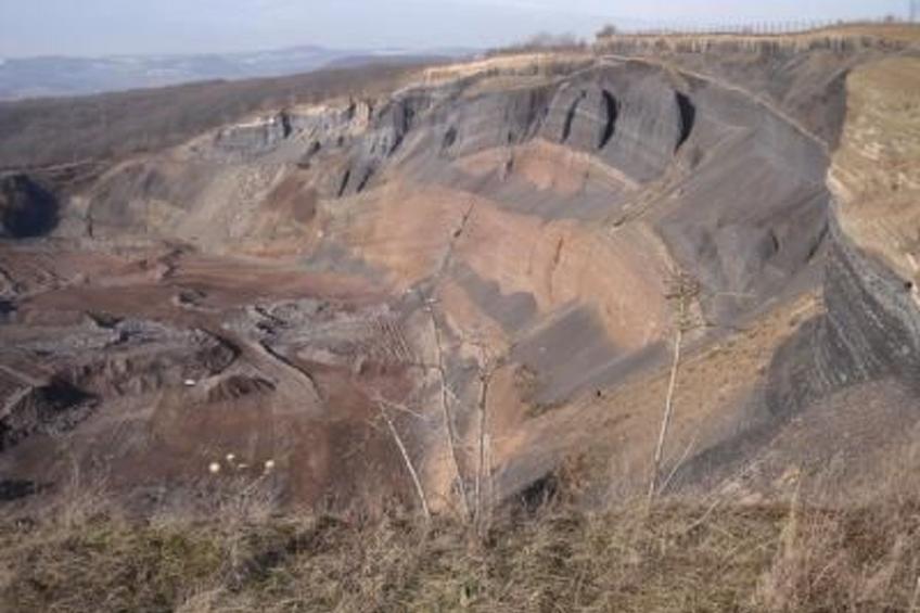 Am Waldrand - foto 31