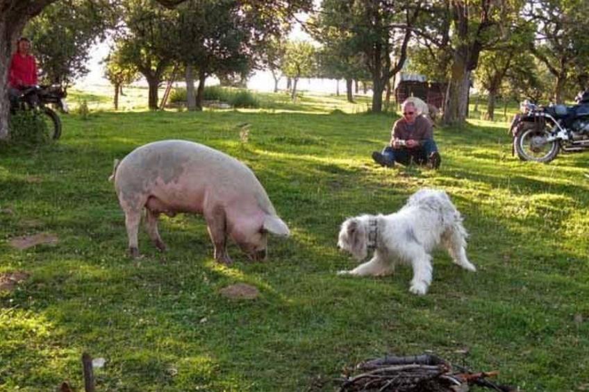 in Sibiel mit Terrasse und Grill - foto 13