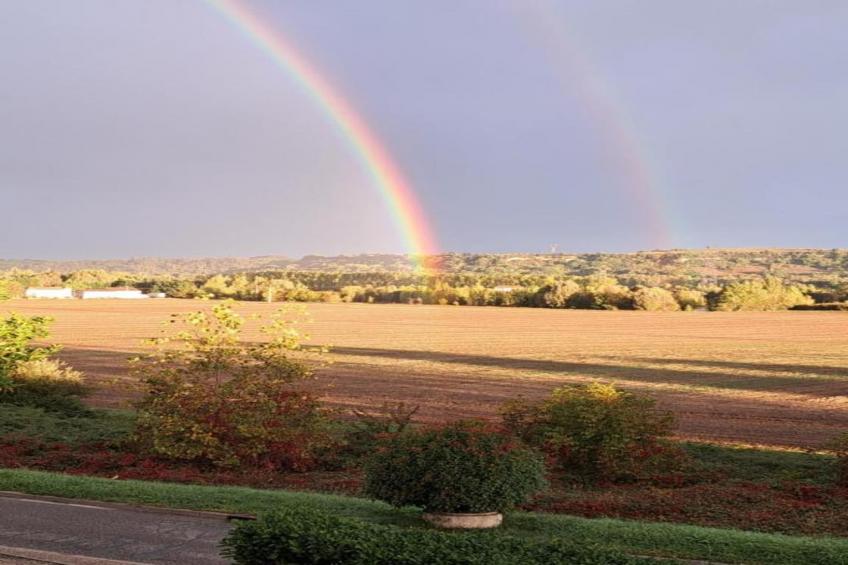 Le Chêne-Liège - foto 27