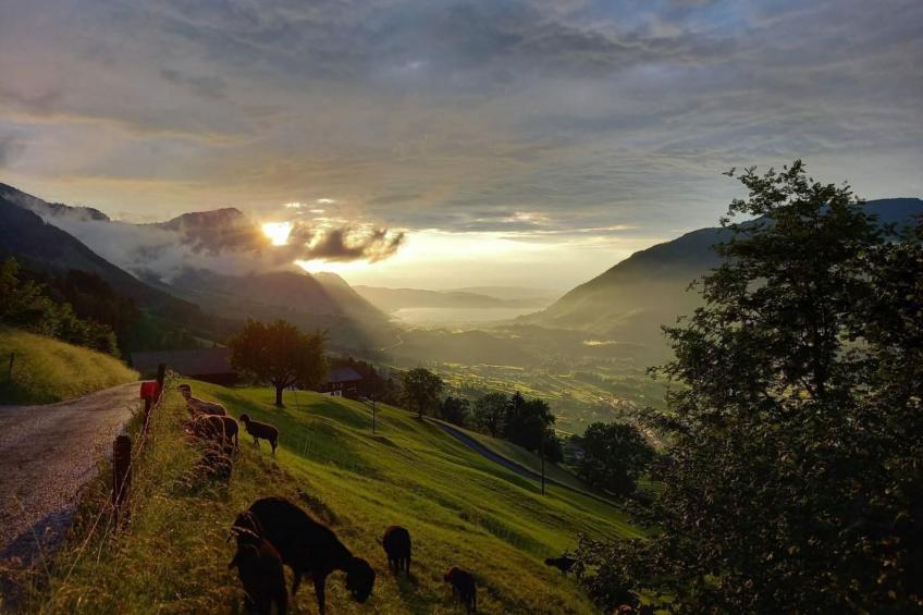 Biohof Langberg - foto 6
