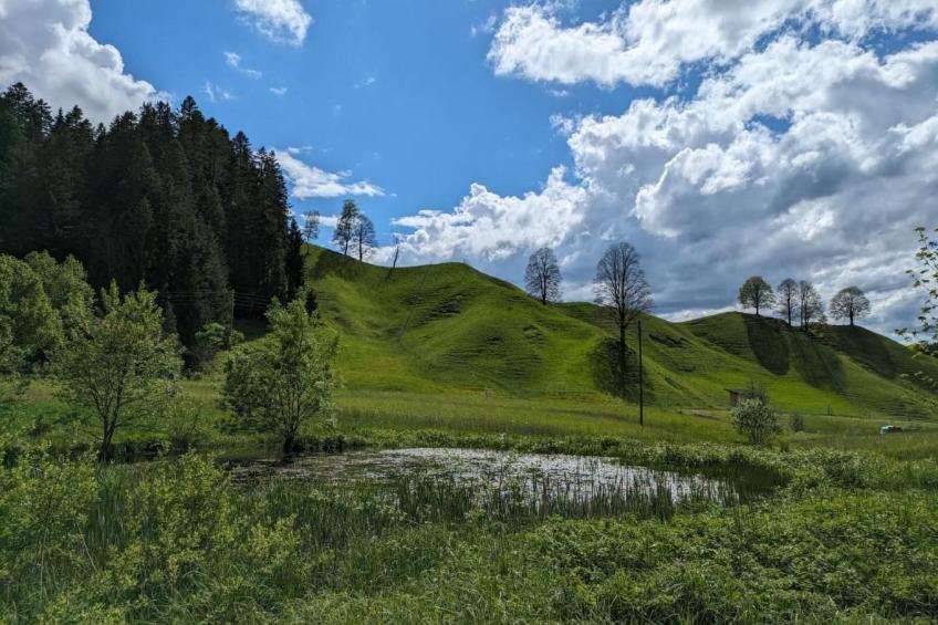 B & B auf dem Bauernhof - foto 13