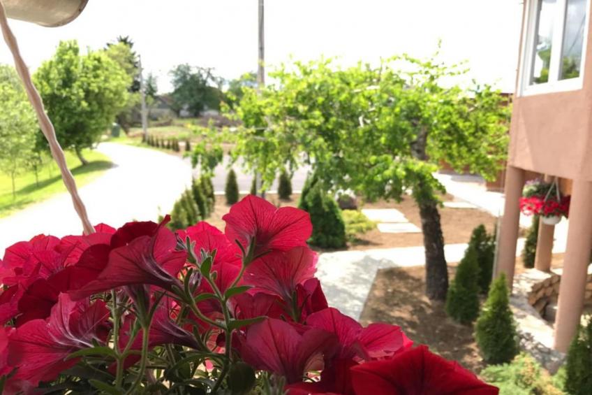 Villa Rubcic - One bedroom apartment with terrace (5) - foto 17