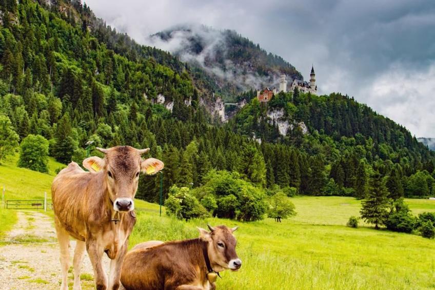 Sehnsucht Allgäu - foto 18