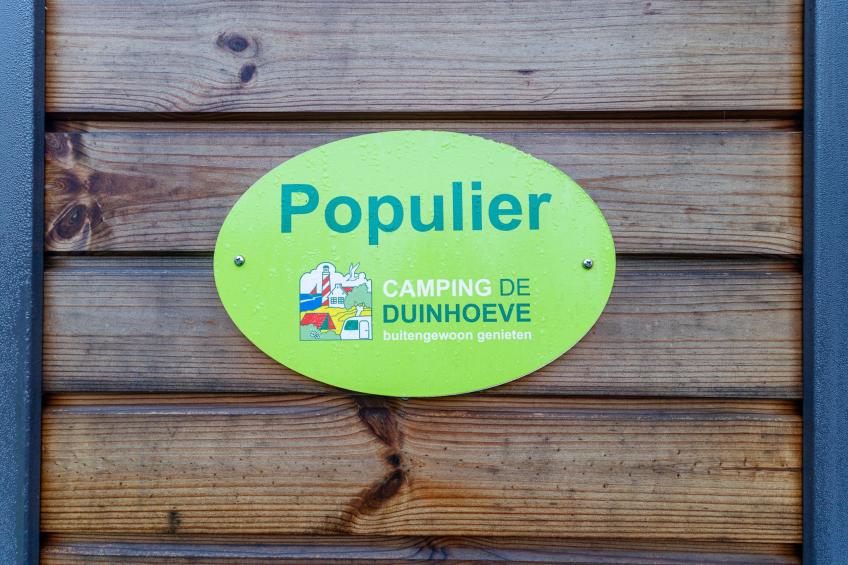 Duinhoeve Duinlodges 4pers (huisdiervriendelijk) - foto 29