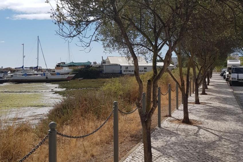 "Estrelinha da Fuzeta" - foto 20