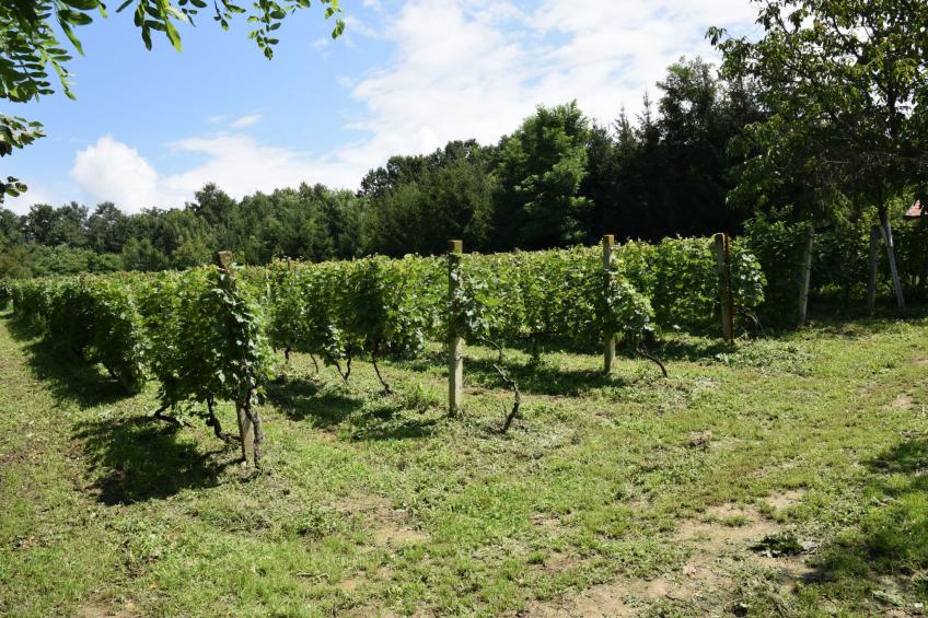 Hütte mit Garten, Grill und Terrasse - foto 39