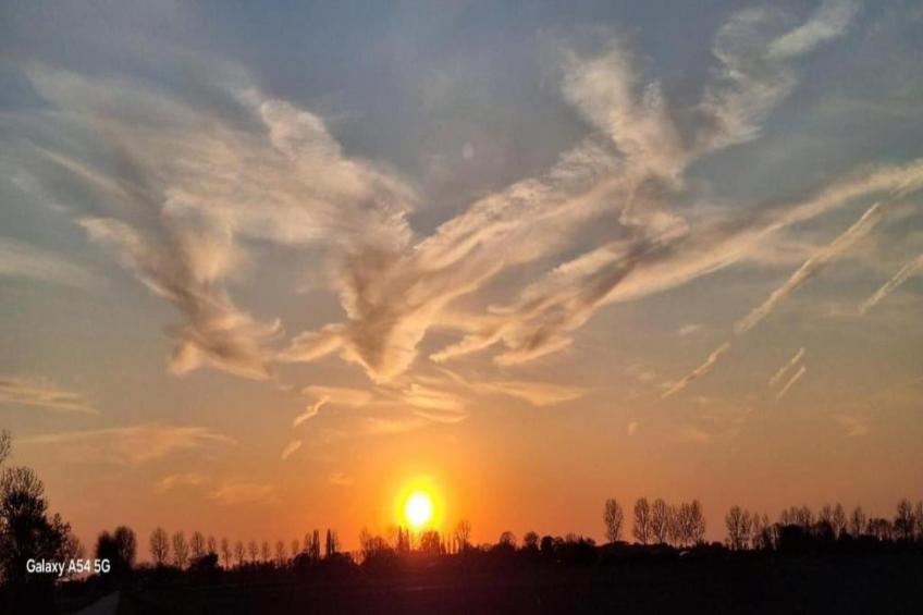 Resort Waterrijk Oesterdam 7 - foto 33