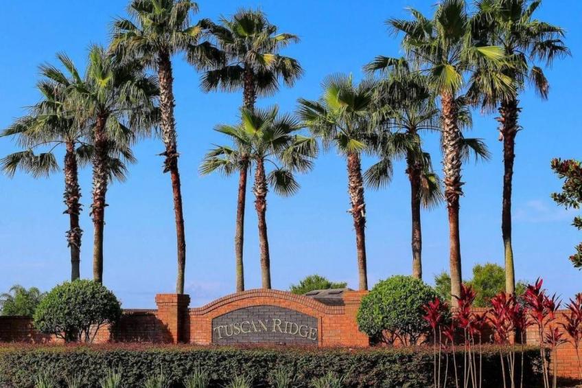 Sonniger Privatpool mit freistehendem Whirlpool und Filmraum - foto 29