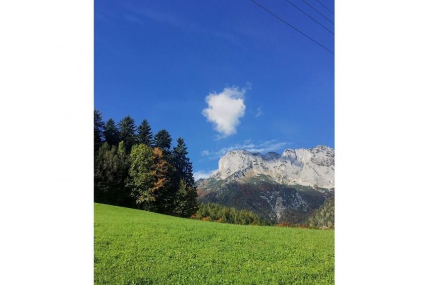 279658 - foto 19