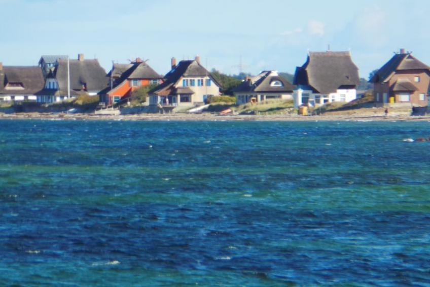 186323 - foto 21