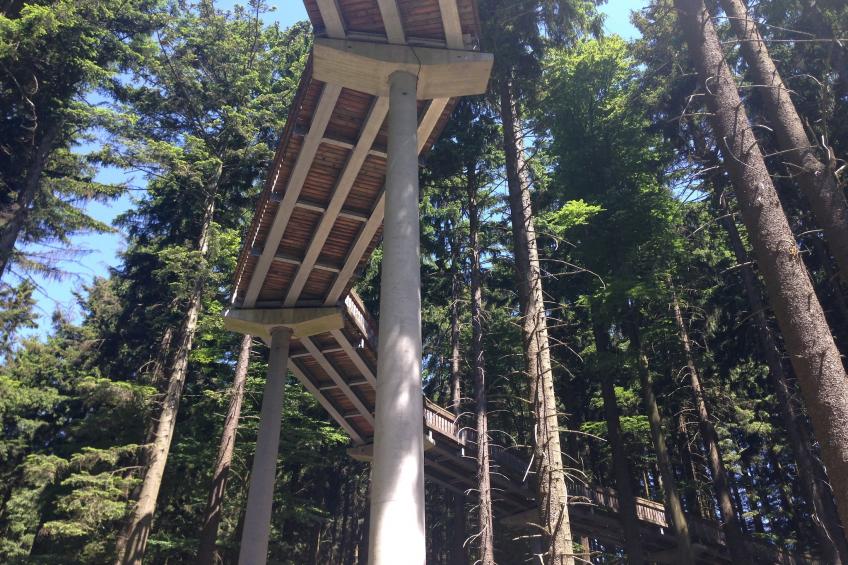Im Bayerischen Wald - foto 32