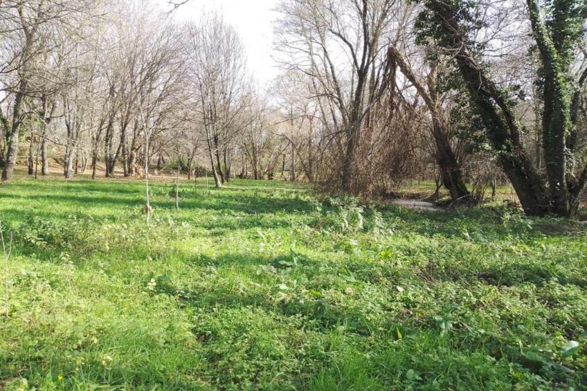 Casa Retiro - foto 30