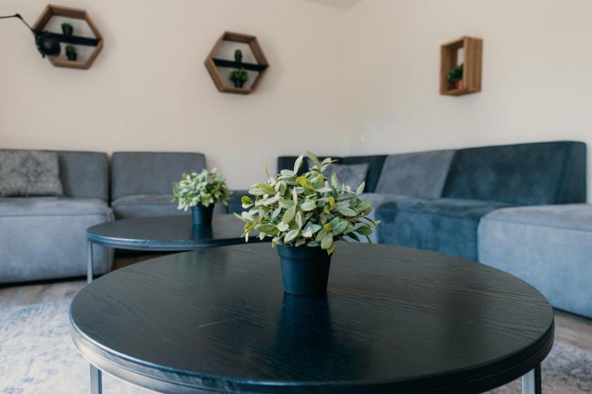 Groepsboerderij 20 pers. - foto 4