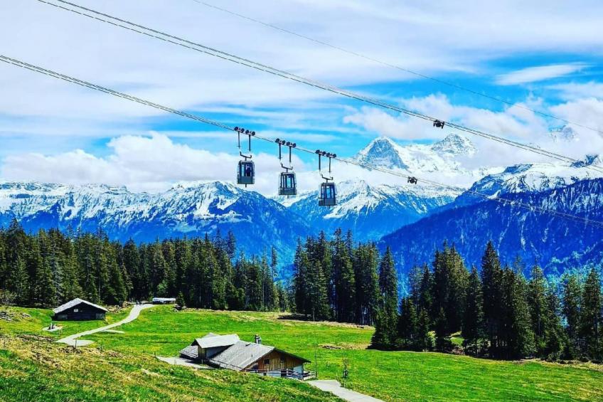 LiloTopMountainView - foto 27