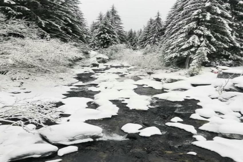 La Turra N°407 - 3P6 - foto 34