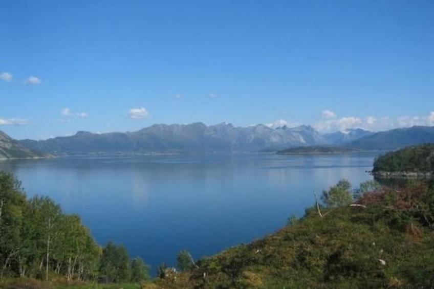 Nesset, Meløy Naturerlebnisse - foto 6