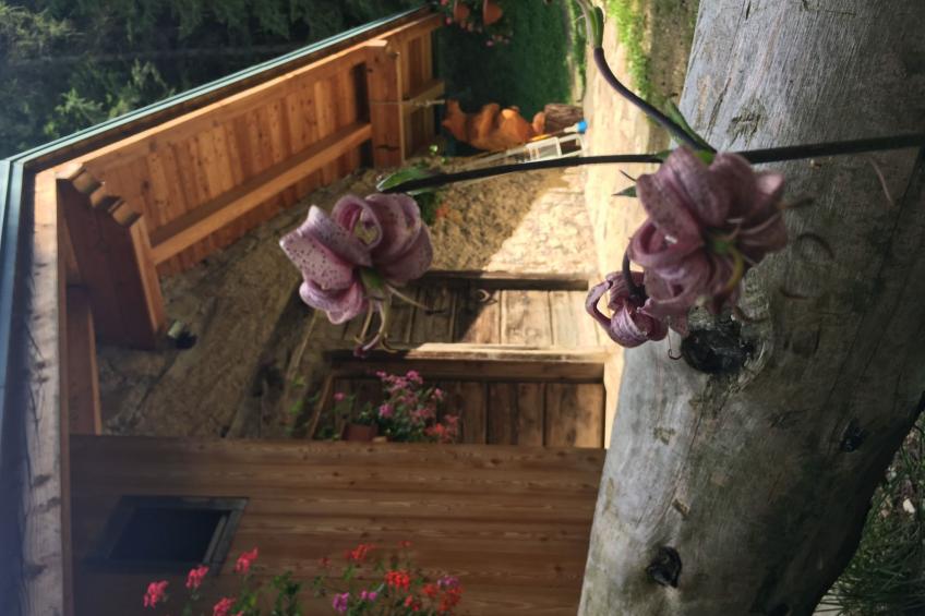 mit Sauna in Pieve Di Bono - foto 32