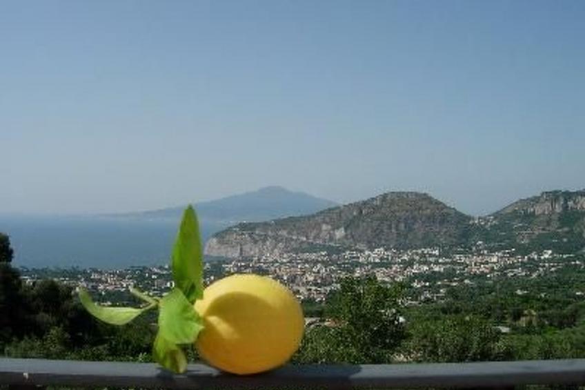 Wohnung mit Panoramaterrasse - foto 2