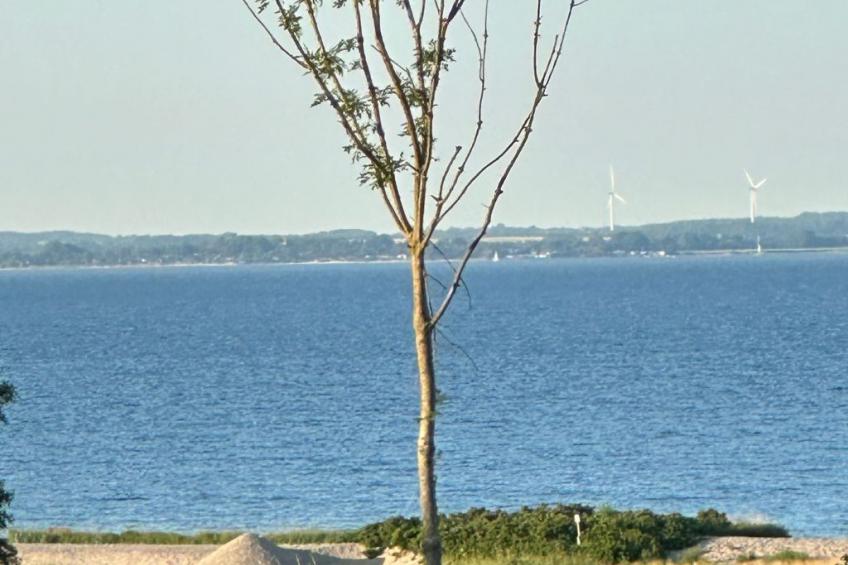 Thalassohaus - foto 19