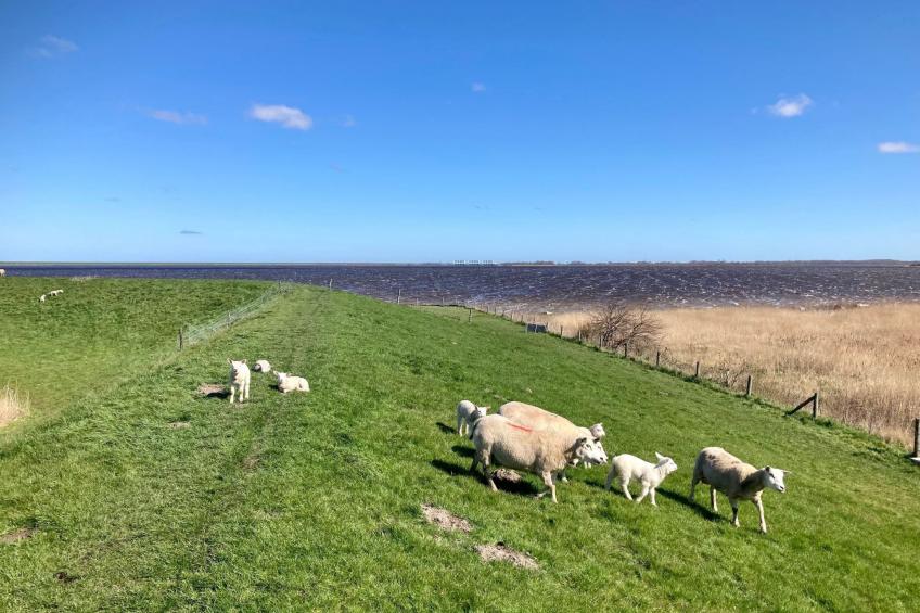 Ruhiges Ferienhaus mit großer offener Küche - foto 49