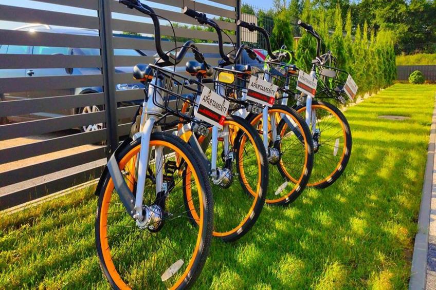 Aurora Domki Przewloka - foto 37