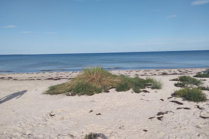 Källtorp 129 - foto 38