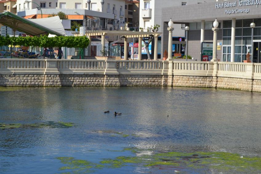 Els Cups, casa rural - foto 44