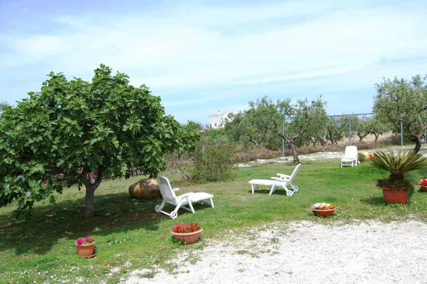 AZZURRO - foto 8