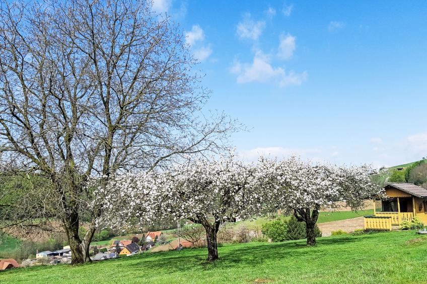 Ferienhaus am Meißlberg - foto 16
