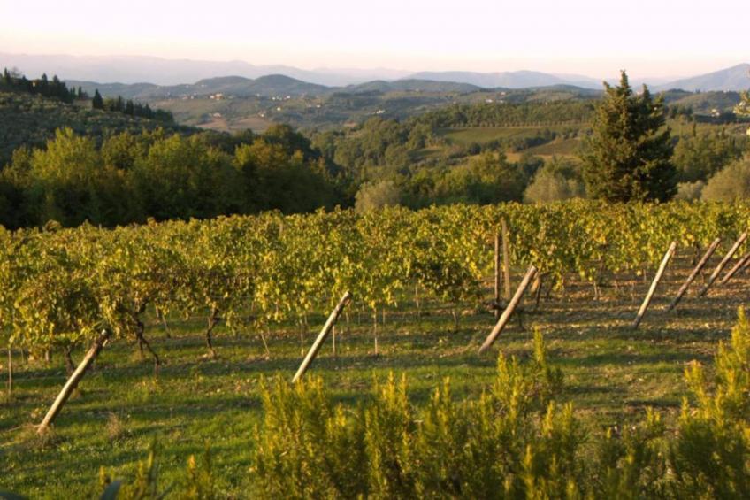 Casalini 2 - foto 32