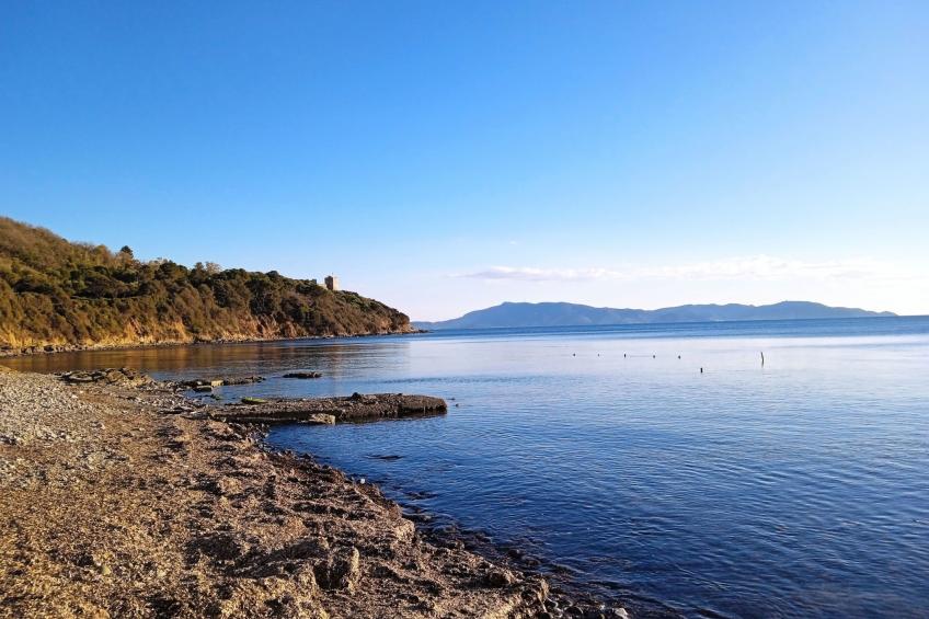 der Birnbaum - foto 10